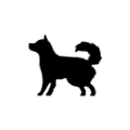 icon-medium